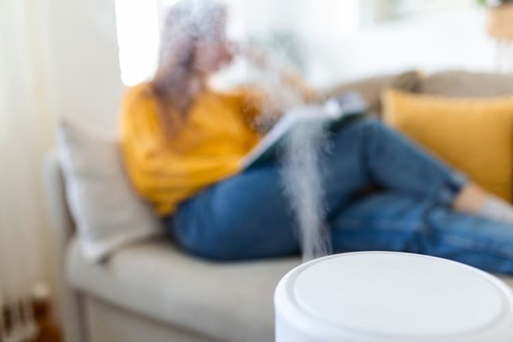 3 Tanaman Hias Perbaiki Kualitas Udara Jadi Air Purifier Alami